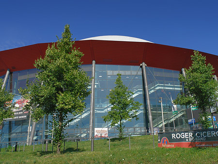 Kölnarena auf einer Wiese Foto 