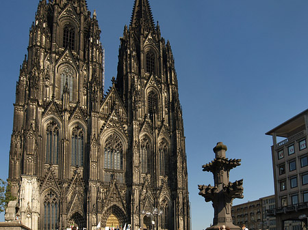 Kreuzblume vor Kölner Dom