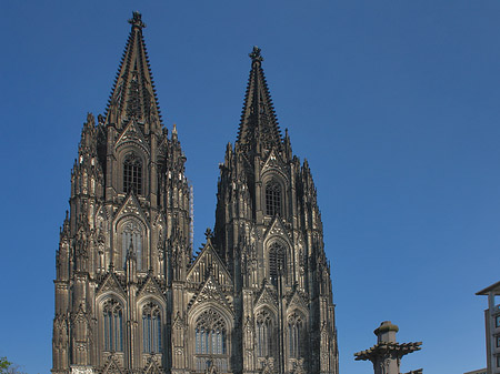 Fotos Kreuzblume vor Kölner Dom | Köln