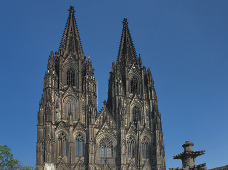 Fotos Kreuzblume vor Kölner Dom | Köln