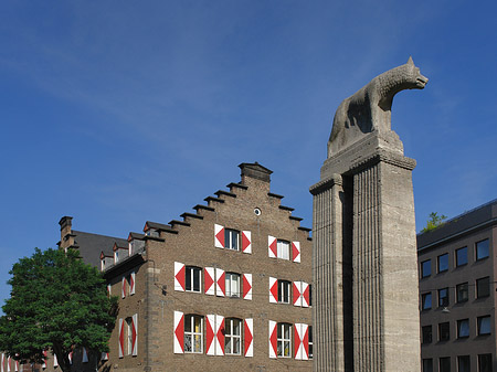 Foto Wolfsstatue und Stadtmuseum - Köln