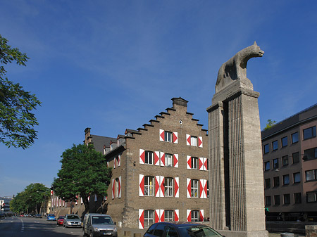 Foto Wolfsstatue und Stadtmuseum - Köln