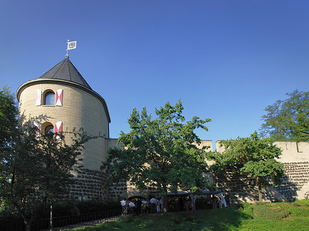 Sachsenturm Fotos