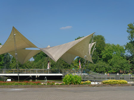 Tanzbrunnen im Rheinpark Foto 