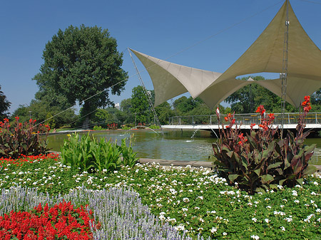 Foto Tanzbrunnen im Rheinpark