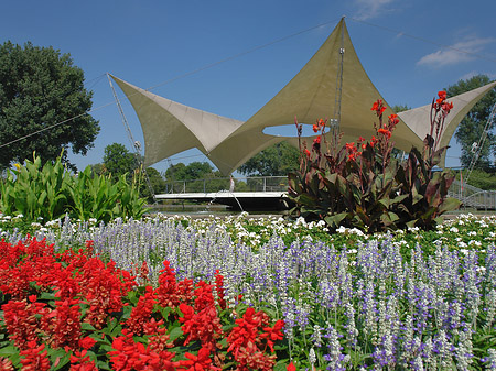 Tanzbrunnen im Rheinpark