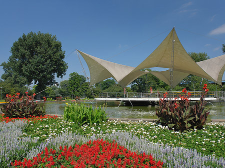 Foto Tanzbrunnen im Rheinpark