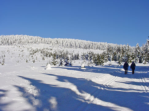 Foto Brockenwanderung - 