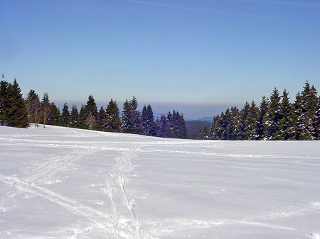 Foto Brockenwanderung