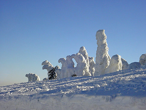 Fotos Brockenwanderung | 