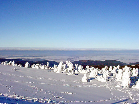 Brockenwanderung Fotos