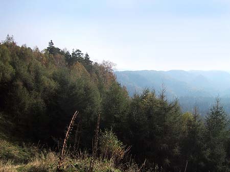 Fotos Blick über die Wälder | 