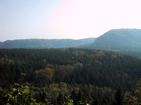 Fotos Blick über die Wälder