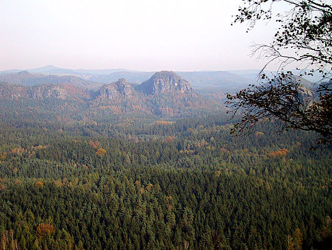 Fotos Blick über die Wälder