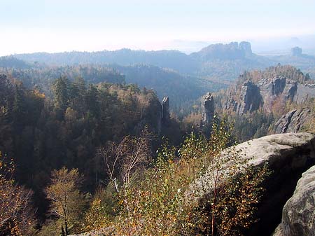 Blick über die Wälder Foto 