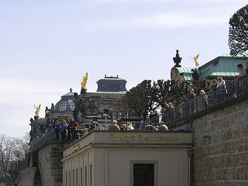 Fotos Brühlsche Terrasse | Dresden