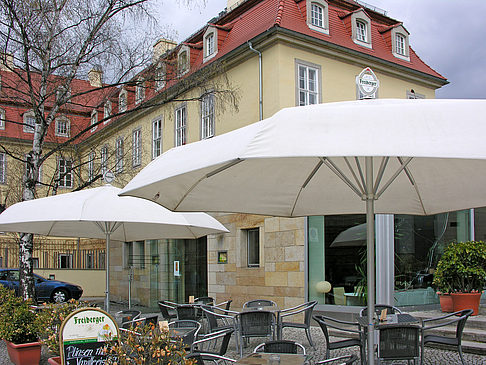 Foto Brühlsche Gärten