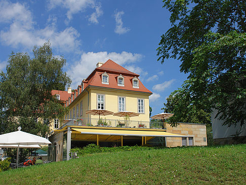 Bärenzwinger