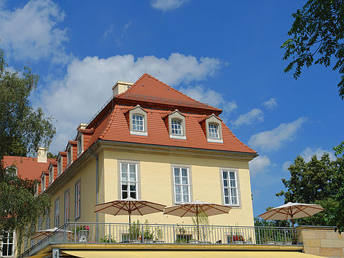 Foto Bärenzwinger - Dresden