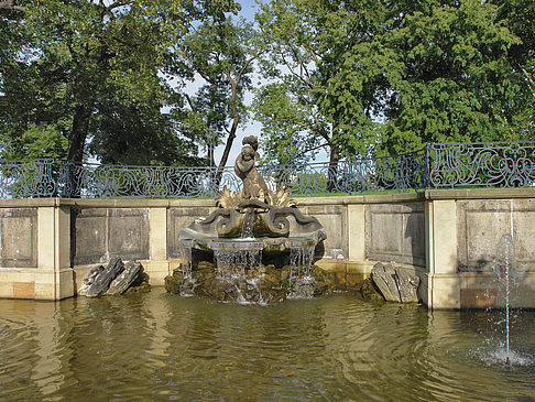 Foto Delphinbrunnen - Dresden