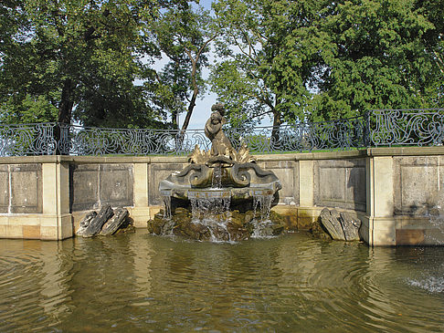 Foto Delphinbrunnen - Dresden