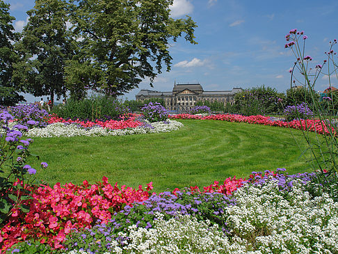 Foto Brühlscher Garten