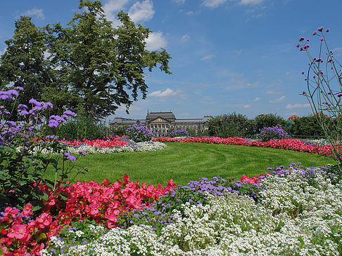 Fotos Brühlscher Garten