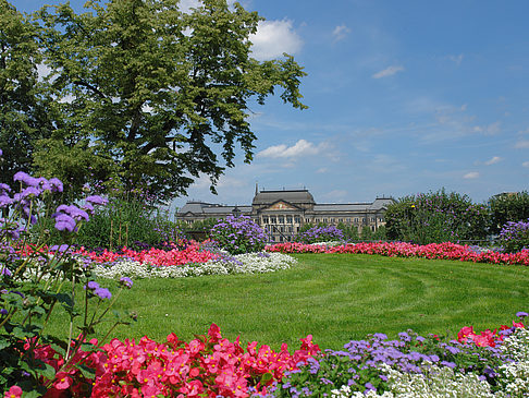 Fotos Brühlscher Garten