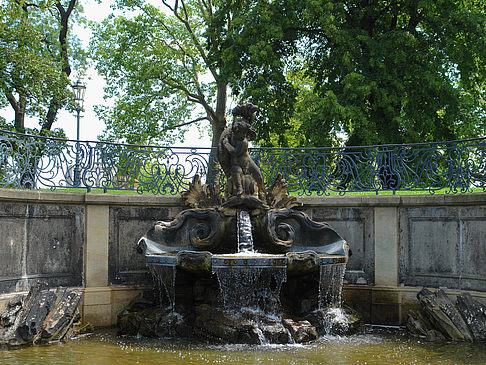 Foto Delphinbrunnen - Dresden
