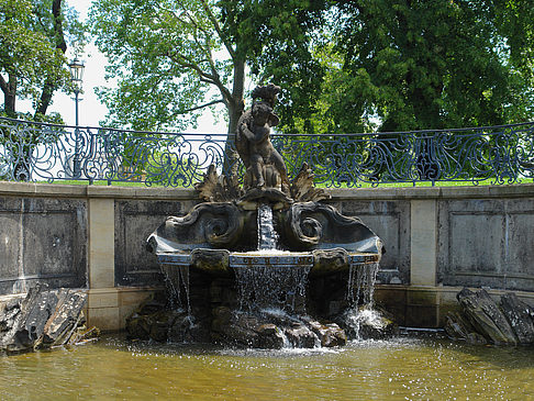 Fotos Delphinbrunnen | Dresden