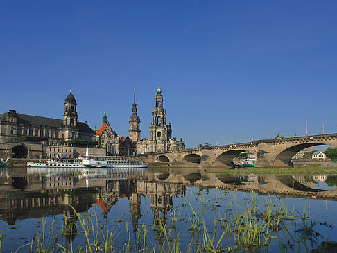Elbe Nahaufnahme Foto 