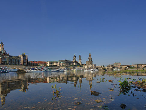 Fotos Elbe Nahaufnahme | Dresden