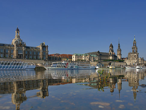 Foto Elbe Nahaufnahme - Dresden