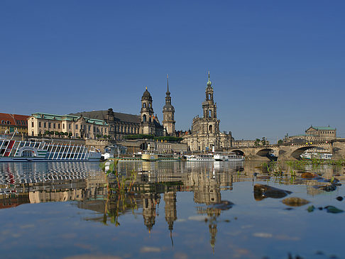 Elbe Nahaufnahme Foto 