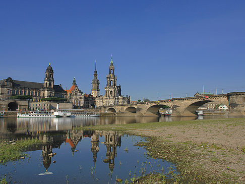 Elbe Nahaufnahme Foto 