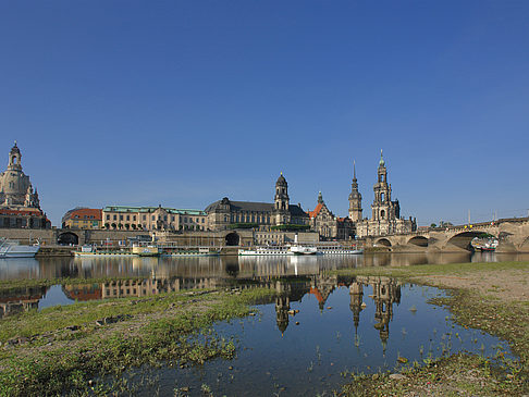 Foto Elbe Nahaufnahme - Dresden