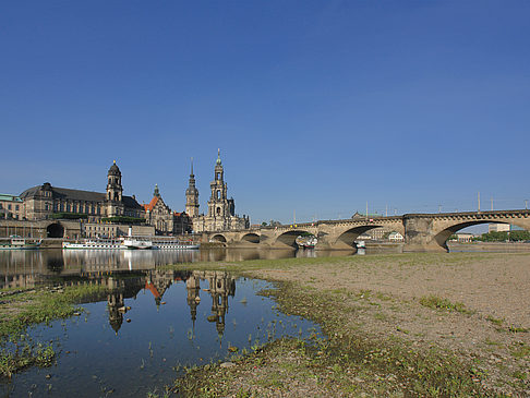 Elbe Nahaufnahme Foto 