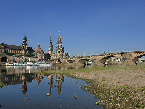 Elbe Nahaufnahme Foto 