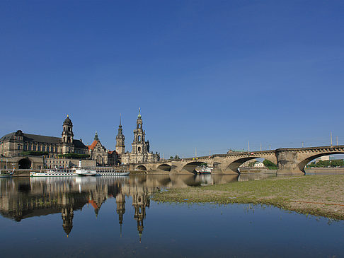 Elbe Nahaufnahme Foto 