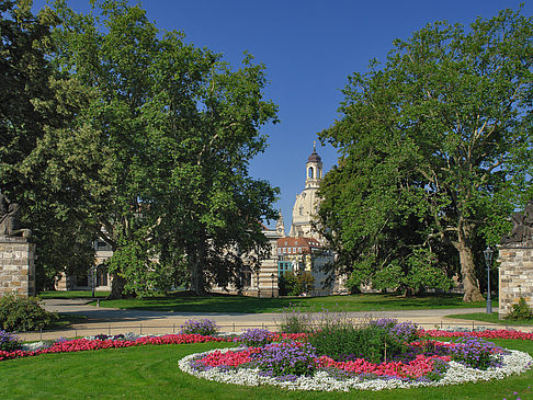 Foto Garten vor Frauenkirche - Dresden