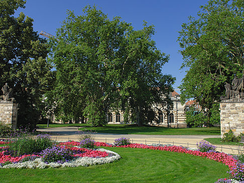 Garten vor Frauenkirche