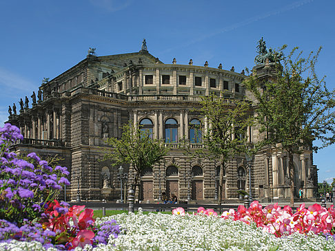 Foto Semperoper mit Blumen - Dresden