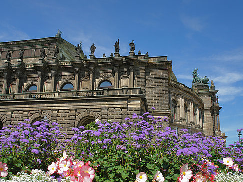 Foto Semperoper mit Blumen