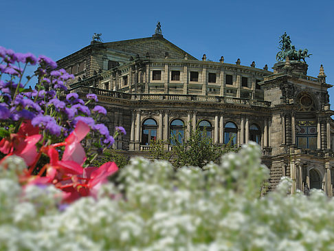 Fotos Semperoper mit Blumen