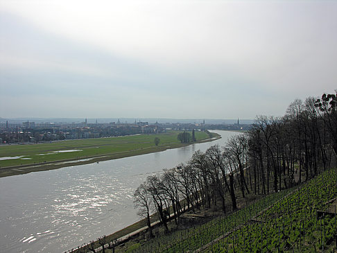 Elbe