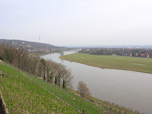 Foto Elbe - Dresden