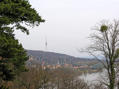 Elbe Fotos