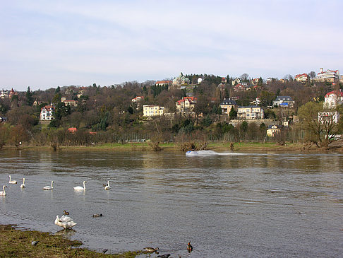 Foto Villen am Elbufer - Dresden
