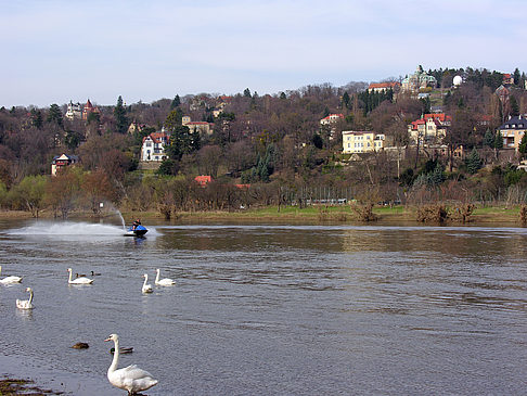Villen am Elbufer Foto 