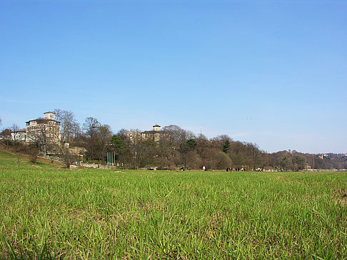 Foto Elbufer